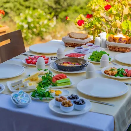 Queen Boutique 호텔 바이즈