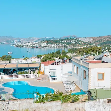 Queen Boutique 호텔