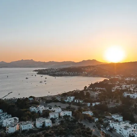 호텔 Queen Boutique 2*