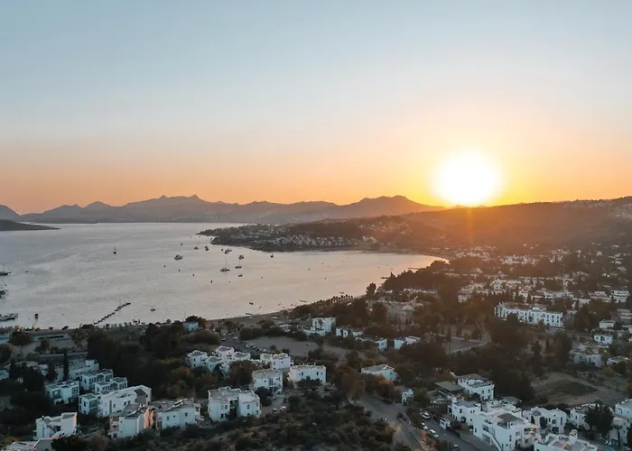 מלון Queen Boutique 2*